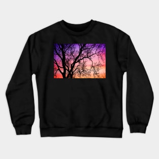 Ash Tree Sunset Crewneck Sweatshirt